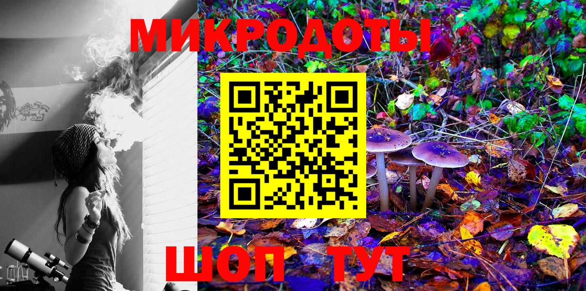 Псилоцибиновые грибы Psilocybe Мурино