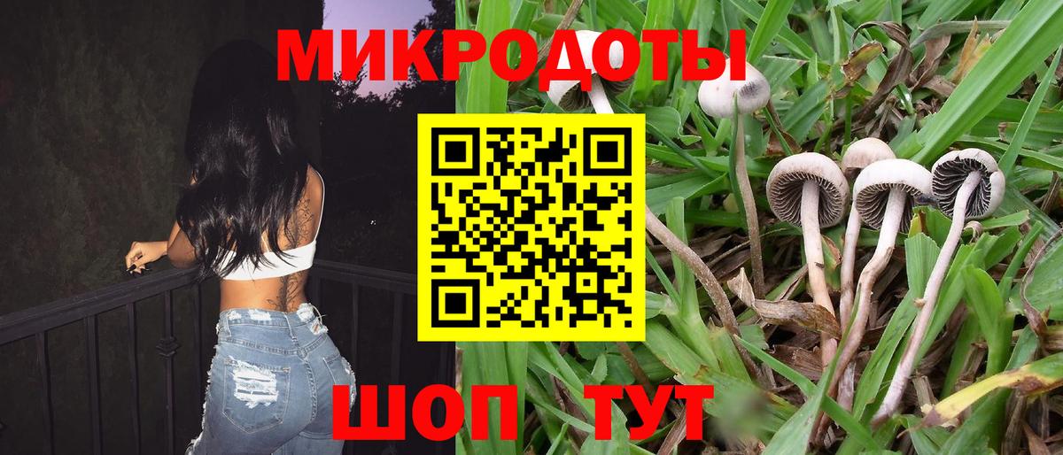 Галлюциногенные грибы мицелий  даркнет сайт  Мурино  Псилоцибиновые грибы Psilocybe  Вход с VPN 