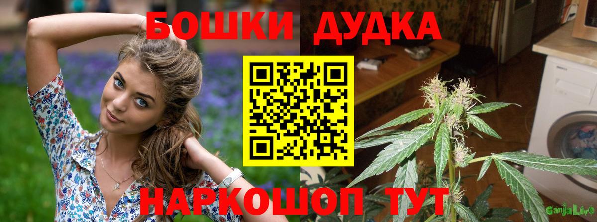 Шишки марихуана THC 21%  Канабис гибрид  Бошки Шишки VHQ  Мурино  Вход с VPN 